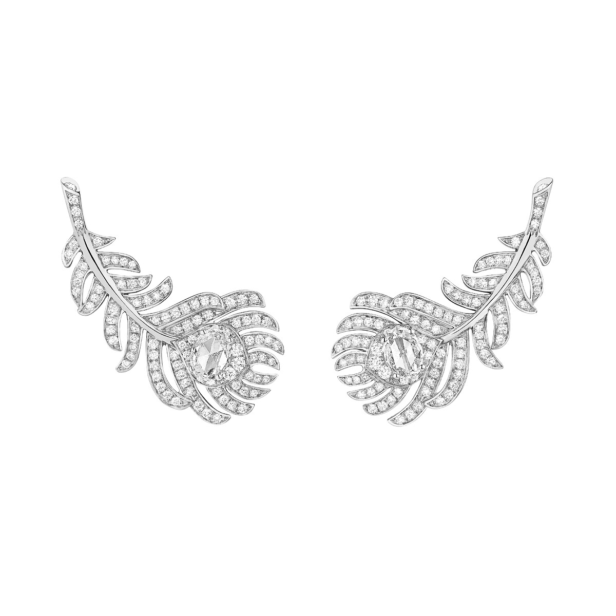 Plume de Paon Ear clips