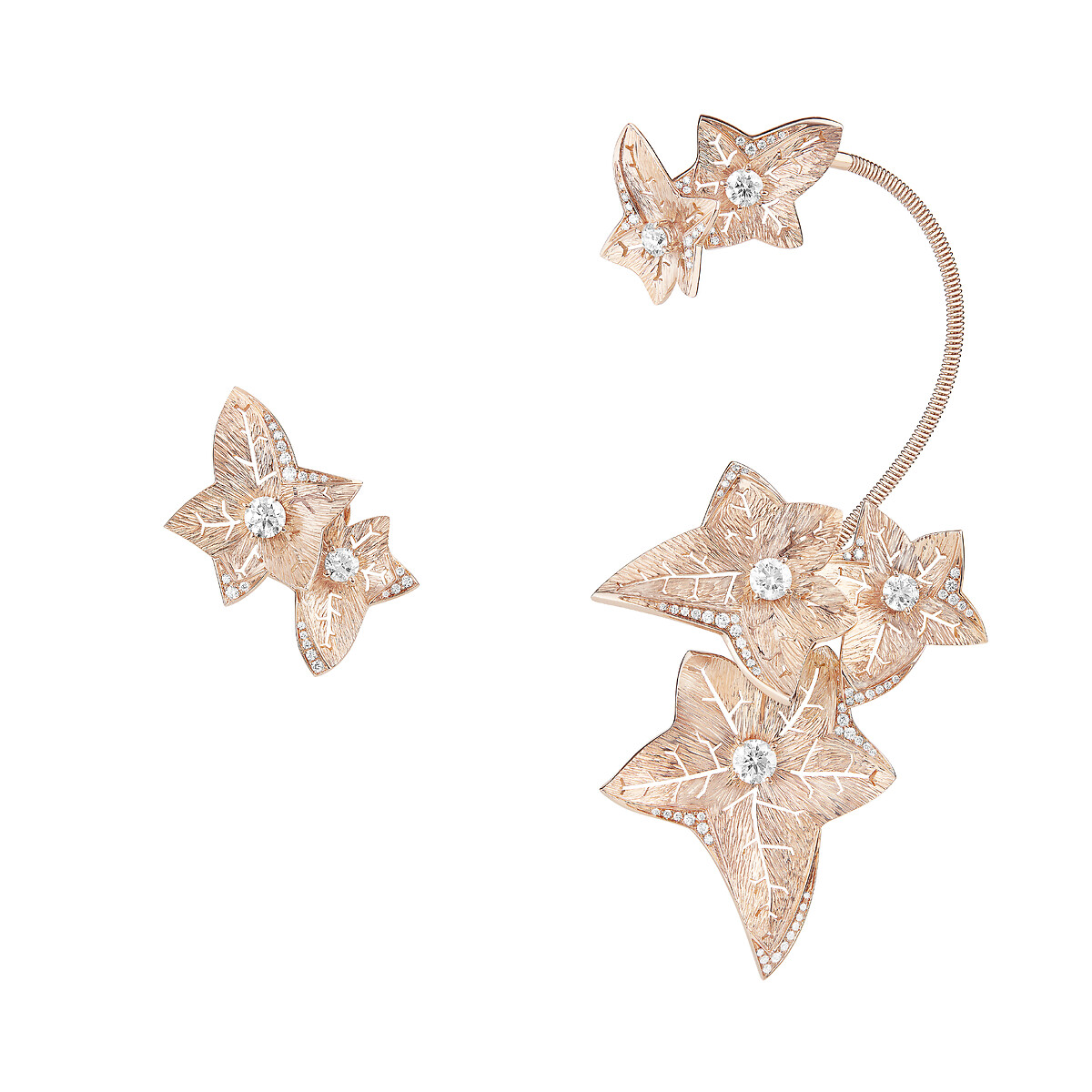 Lierre de Paris耳坠