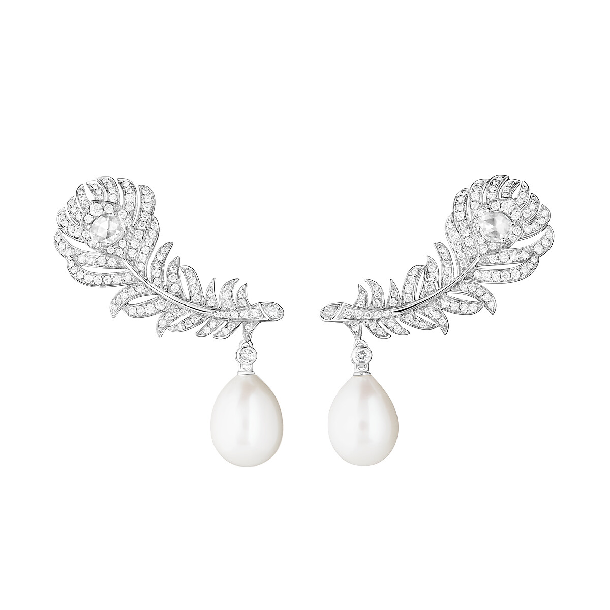 Plume de Paon孔雀羽毛耳環