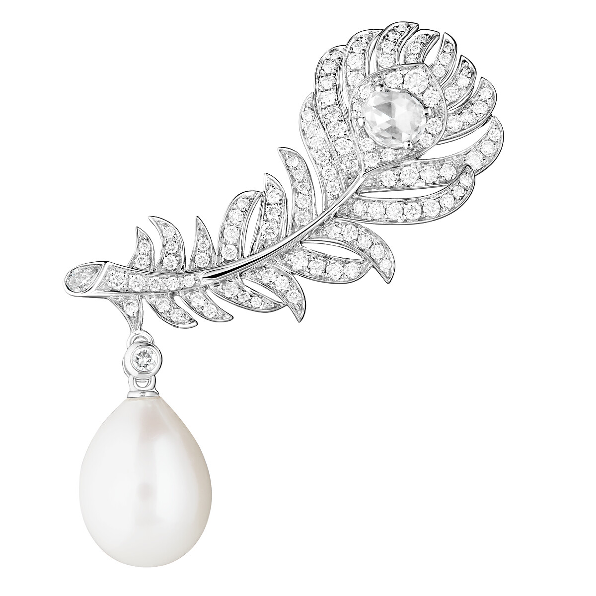 Plume de Paon孔雀羽毛耳環