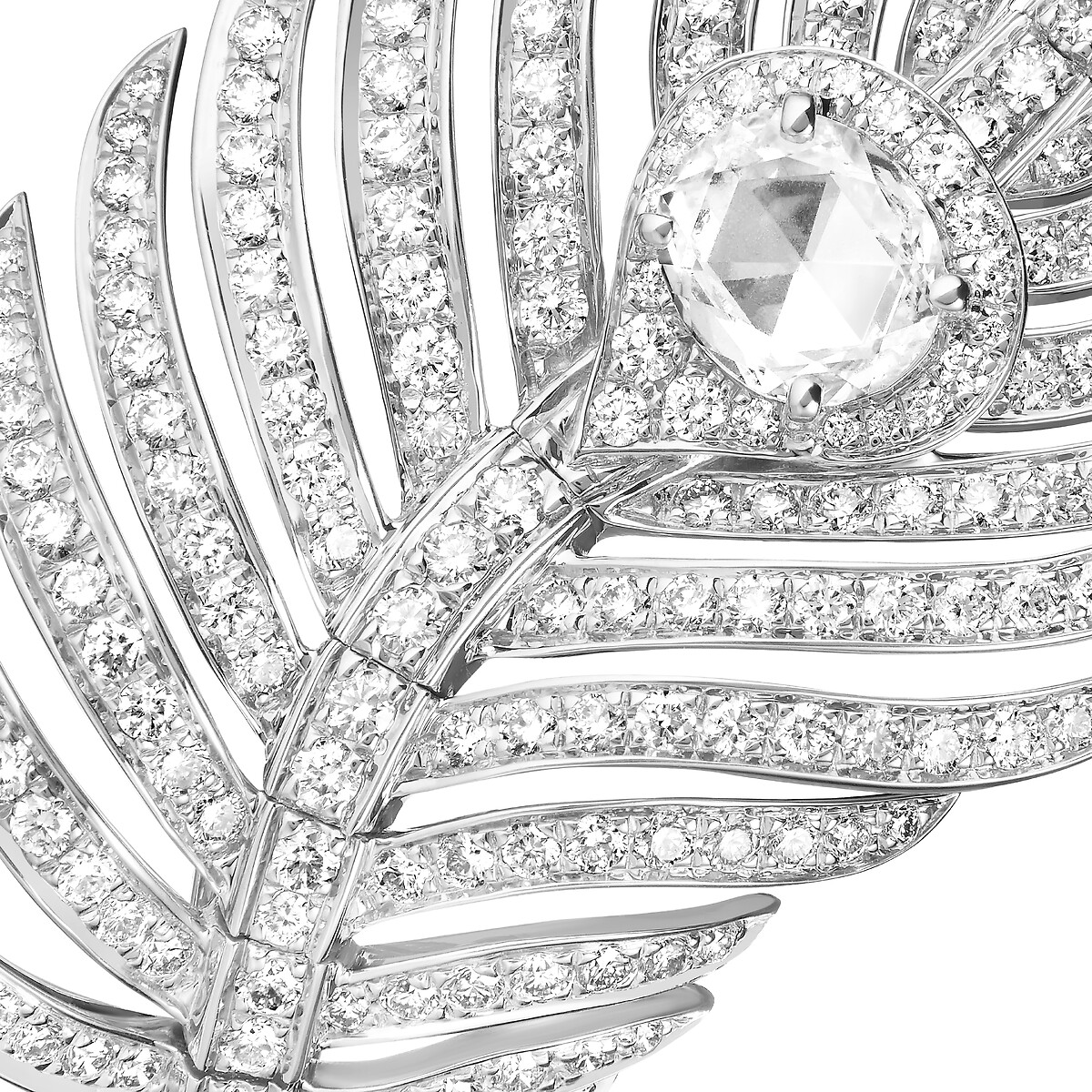 Plume de Paon孔雀羽毛戒指