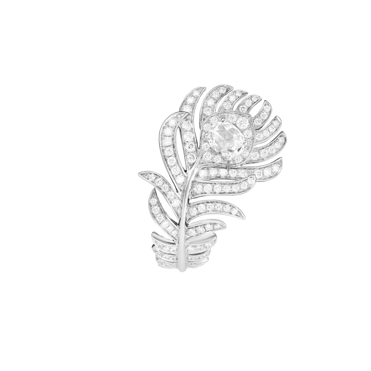 Plume de Paon孔雀羽毛戒指