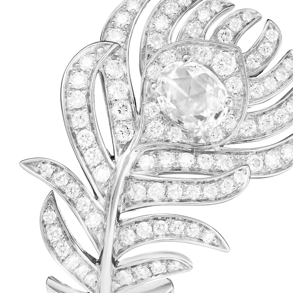 Plume de Paon孔雀羽毛戒指