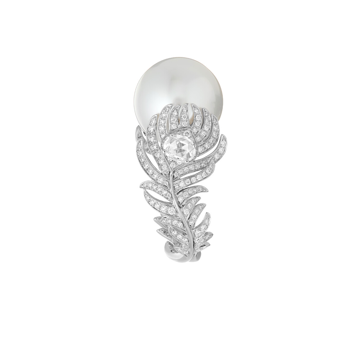 Plume de Paon孔雀羽毛戒指