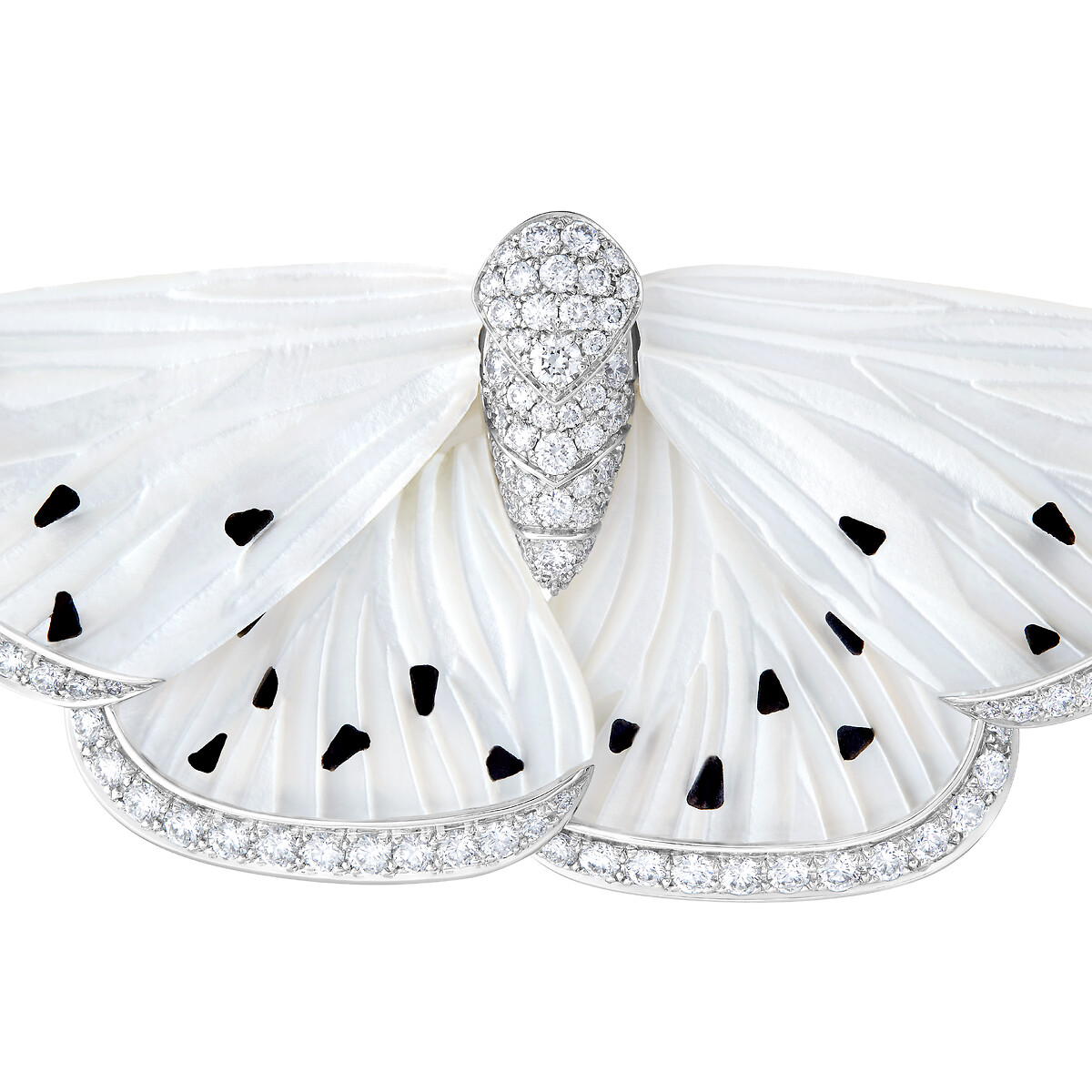 Papillon de nuit戒指