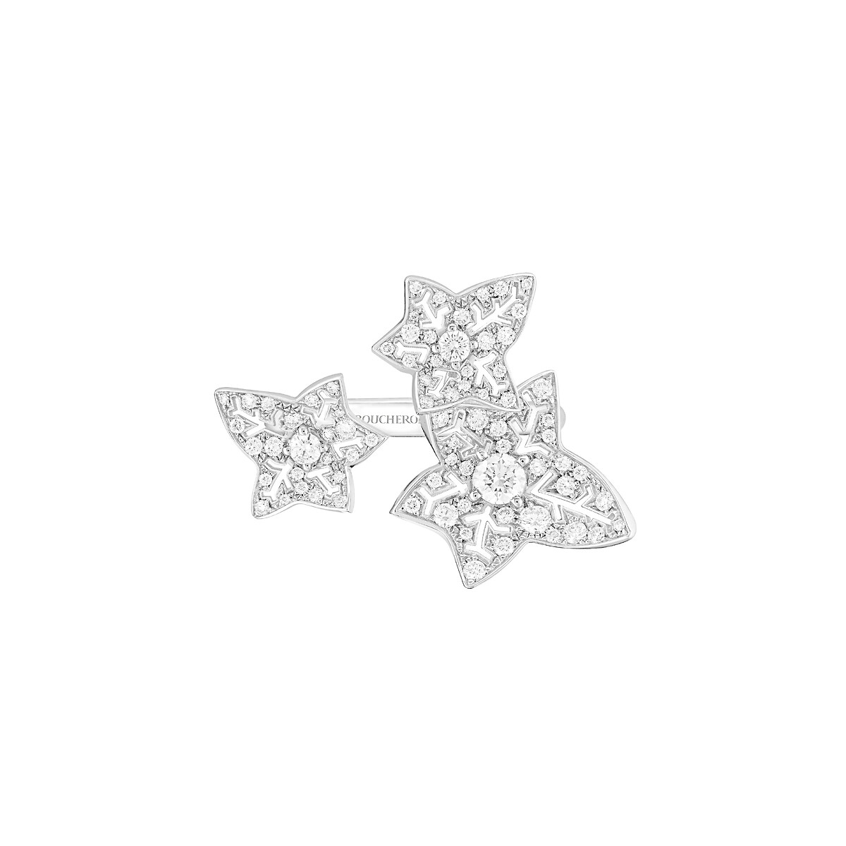Lierre de Paris Ring