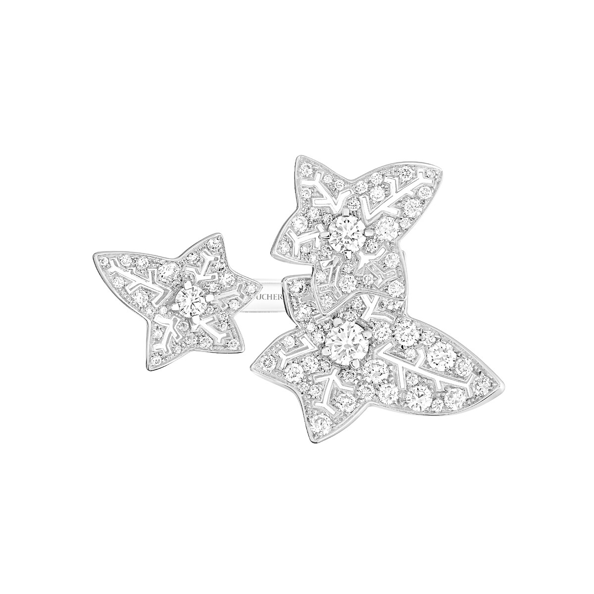 Lierre de Paris Ring
